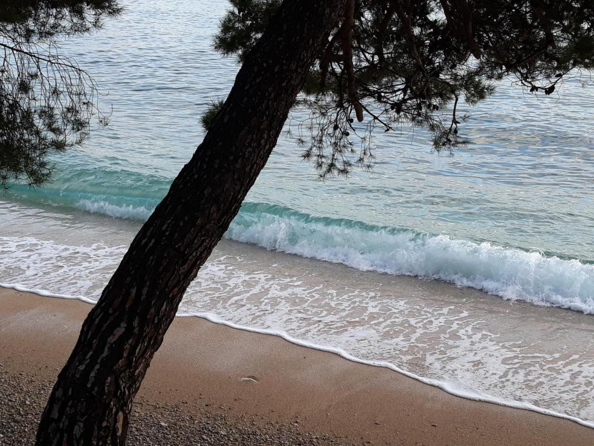 Studio With Magic View * Podgora