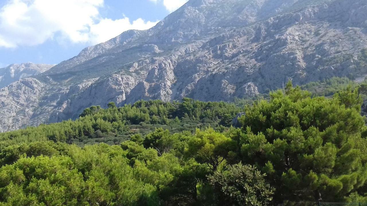 With Magic View *