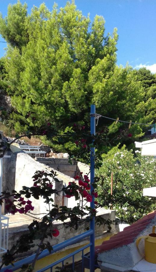 Apartment Studio With Magic View Podgora